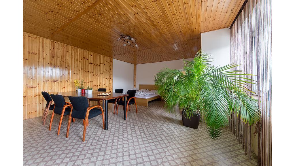 Apartman Vrane Vrane nad Vltavou Ngoại thất bức ảnh
