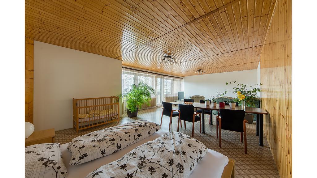Apartman Vrane Vrane nad Vltavou Ngoại thất bức ảnh